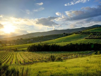 Apartment Wohnung in der Toskana bei Florenz - Environment photo 17