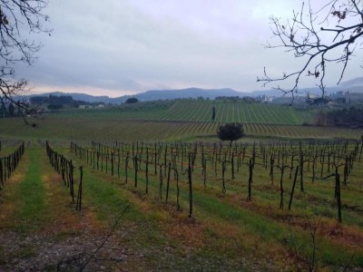 Apartment Wohnung in der Toskana bei Florenz - Environment photo 18