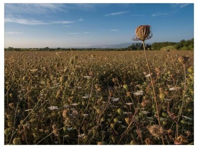 Apartment Wohnung in der Toskana bei Florenz - Environment photo 19