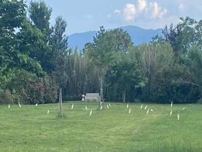 Apartment Wohnung in der Toskana bei Florenz - Environment photo 20