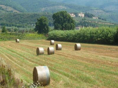 Apartment Wohnung in der Toskana bei Florenz - Environment photo 23