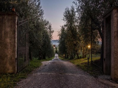 Apartment Wohnung in der Toskana bei Florenz - Environment photo 25