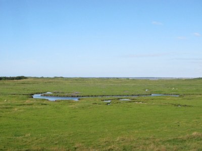 Holiday house Kliffkante Ebner - Environment photo 16