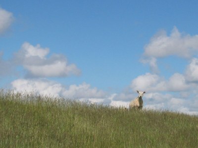 Holiday house Kliffkante Ebner - Environment photo 20