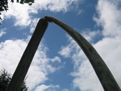 Holiday house Kliffkante Ebner - Environment photo 21