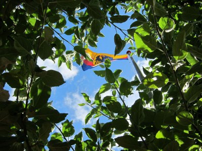 Holiday house Kliffkante Ebner - Environment photo 23