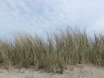 Holiday house Kliffkante Ebner - Environment photo 26