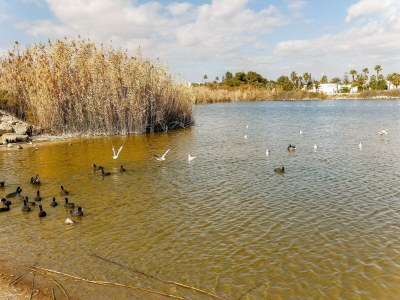 Apartment Rückzugsort in der Nähe der Strände von Vera - Environment photo 24