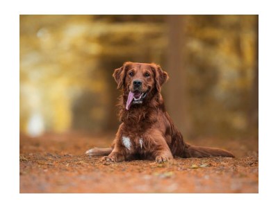 Holiday house diemelblick acht - Outdoor photo 4