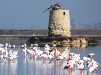 Villa Baglio Sciacca - Environment photo 27
