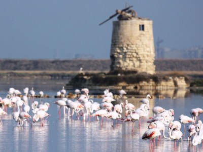 Holiday house Villa Le Onde - Environment photo 38