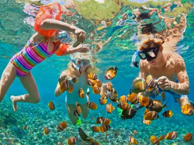 Villa Etna da Mare - Environment photo 26