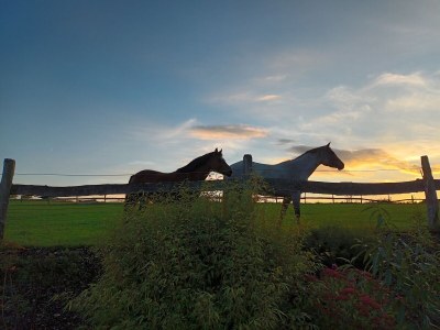 Holiday house Alpenzauber - Outdoor photo 9