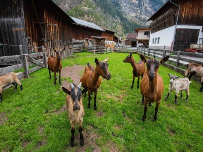 Apartment Apartment in Huben near Ski Slopes - Environment photo 27