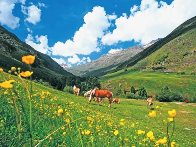 Apartment Apartment in Huben near Ski Slopes - Environment photo 28