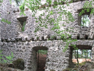 Apartment Eifel Garden Hideaway - Environment photo 22