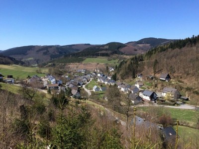 Apartment Eifel Garden Hideaway - Environment photo 23