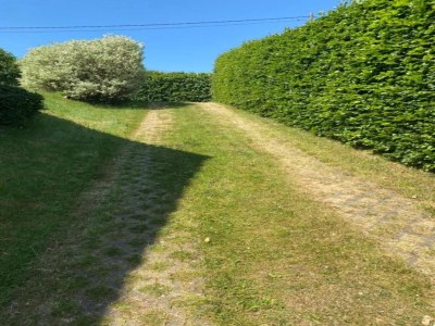 Apartment Eifel Garden Hideaway - Environment photo 27