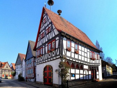 Apartment Eifel Garden Hideaway - Environment photo 28