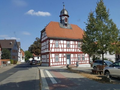 Apartment Eifel Garden Hideaway - Environment photo 30