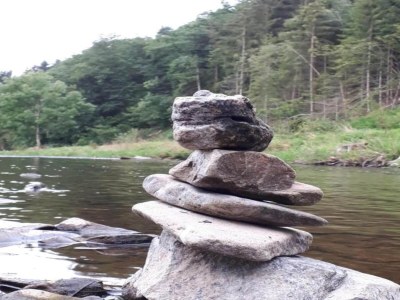 Apartment Eifel Garden Hideaway - Environment photo 35