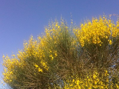 Holiday house well-kept holiday apartment at the ocean - Environment photo 19