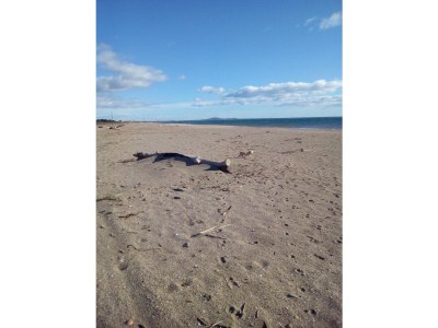 Holiday house well-kept holiday apartment at the ocean - Environment photo 22