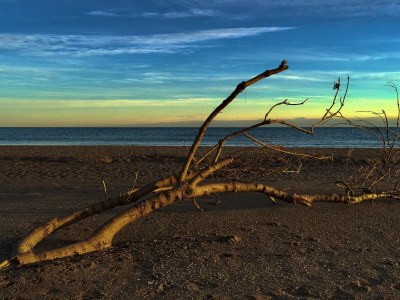Holiday house well-kept holiday apartment at the ocean - Environment photo 25