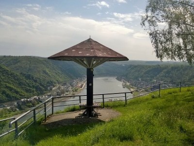 Holiday apartment Sankt Goar-Werlau - Environment photo 19