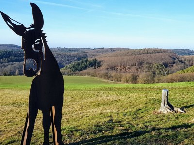 Holiday apartment Sankt Goar-Werlau - Environment photo 26