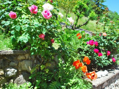 Apartment Rustico Massimo - Outdoor photo 7