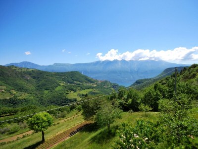 Apartment Rustico Massimo - Environment photo 26
