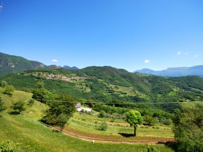 Apartment Rustico Massimo - Environment photo 27