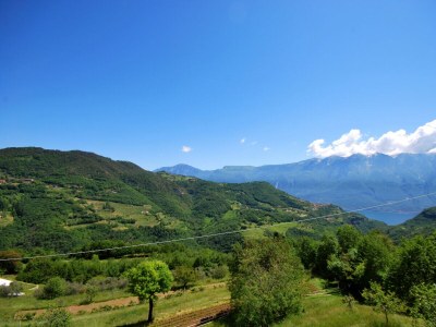 Apartment Rustico Massimo - Environment photo 28