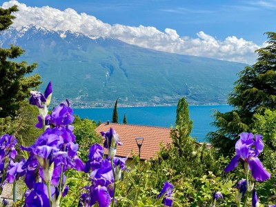 Apartment Elisa - Outdoor photo 7