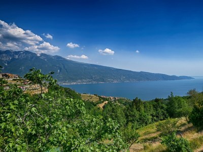 Apartment Lina's Home - Environment photo 10