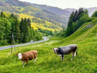 Holiday house Bella Vista. - Outdoor photo 13