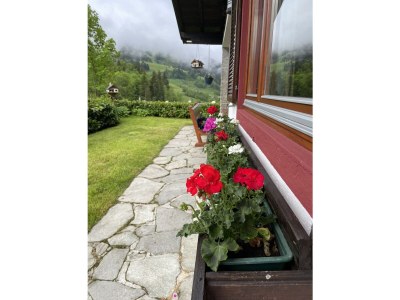 Holiday house Bella Vista. - Outdoor photo 14