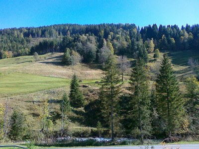 Holiday house Bella Vista. - Environment photo 29