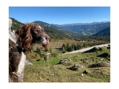 Holiday house Bella Vista. - Environment photo 36