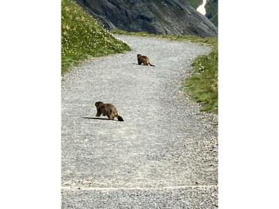 Holiday house Bella Vista. - Environment photo 38