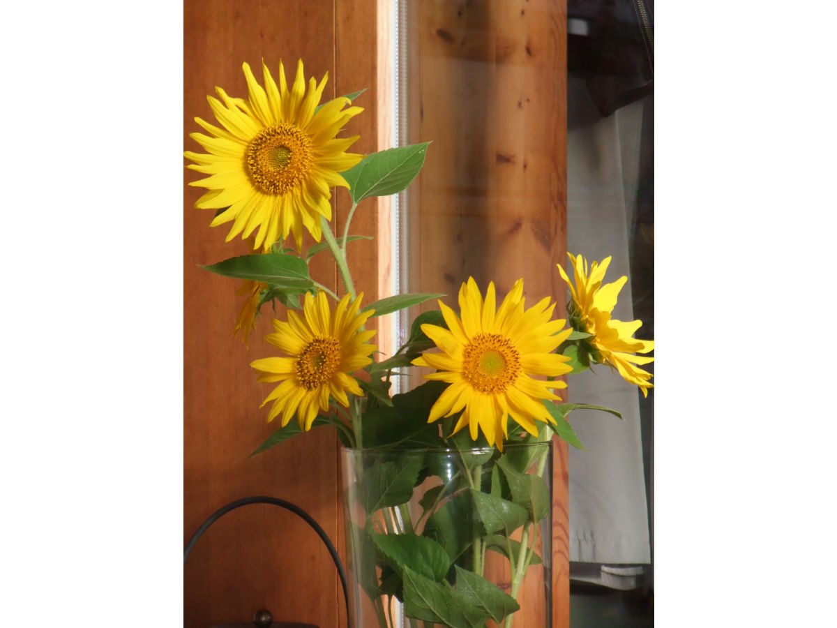 Holiday apartment Sunnaberg - Outdoor photo 4