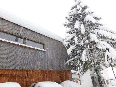 Holiday apartment Sunnaberg - Outdoor photo 6