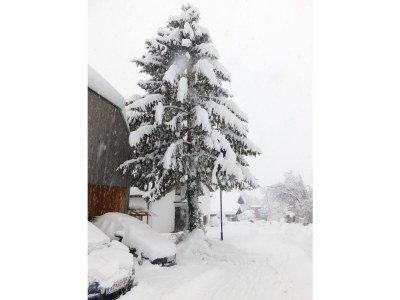 Holiday apartment Sunnaberg - Outdoor photo 8