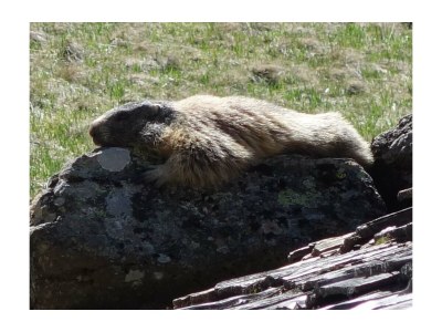 Holiday apartment Sunnaberg - Environment photo 27