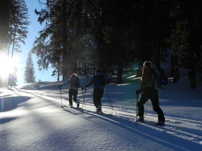 Holiday apartment Sunnaberg - Environment photo 30