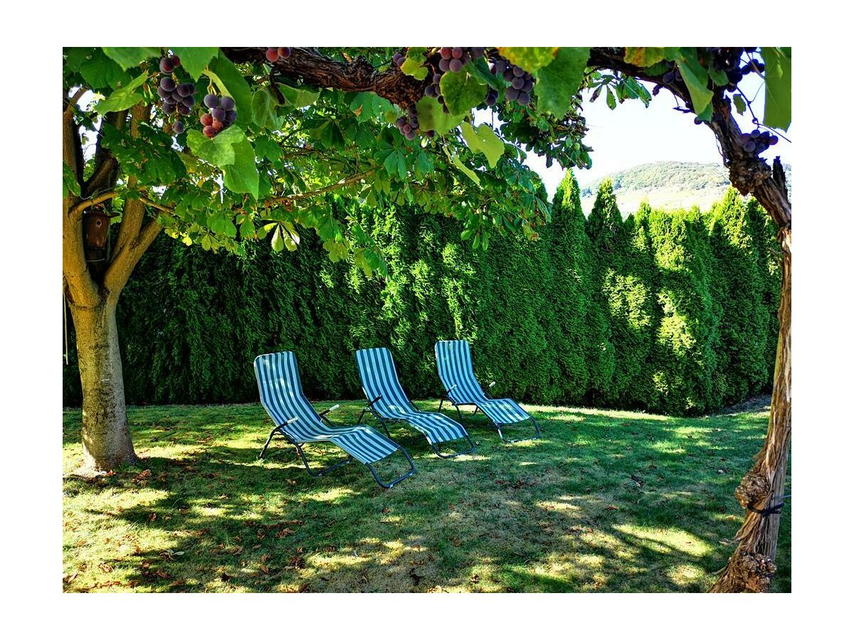 Apartment Appartement Dusche/WC, Weinbergsblick - Outdoor photo 3