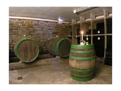 Apartment Appartement Dusche/WC, Weinbergsblick - Outdoor photo 8