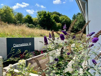 Holiday house Diemeleck - Outdoor photo 11