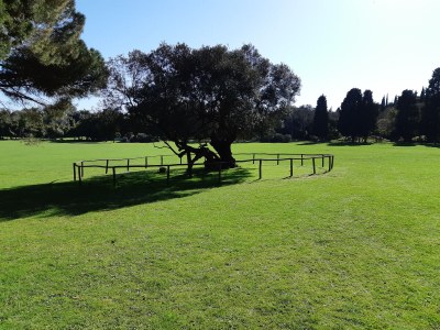 Villa Villa Mery - Environment photo 40